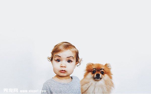 �����ͳ��ﹷ���������º�Ӱ