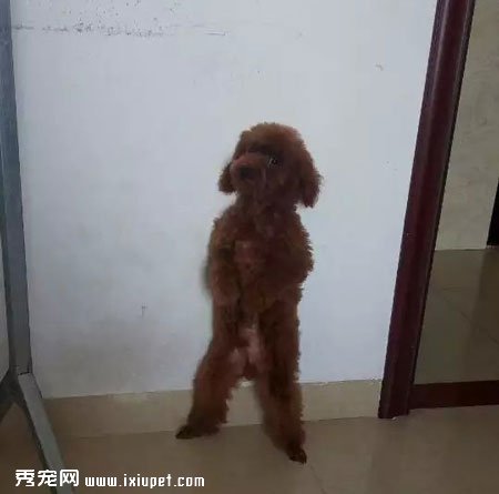 �̵�̩�Ϲ�������վ��ͼƬ��ȫ