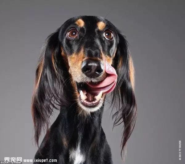 ץ�Ĺ��������ͼƬ���ȷ��ˣ�