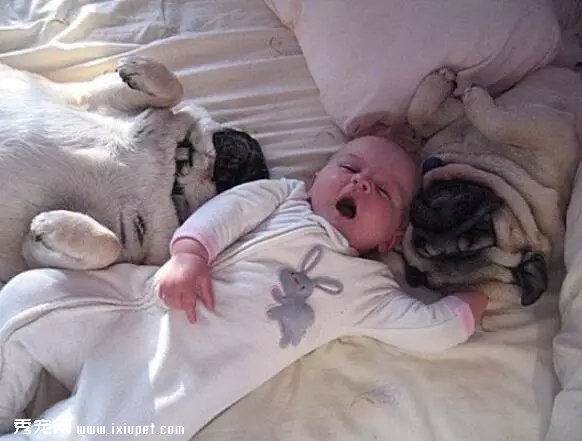 �����ͱ�����һ���⻭��̫�а���..