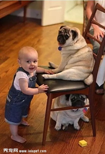 �����ͱ�����һ���⻭��̫�а���..