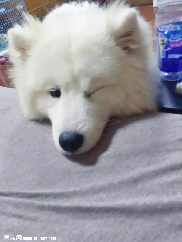����ĦҮ���ȵ�һ����Ϳ������������ǣ�