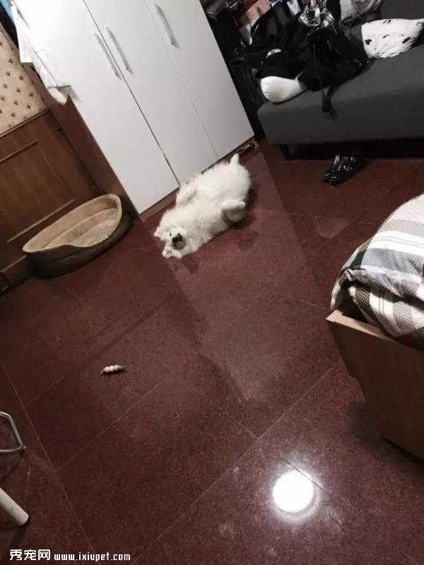 ����ĦҮ���ȵ�һ����Ϳ������������ǣ�