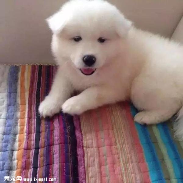 ����ĦҮ���ȵ�һ����Ϳ������������ǣ�