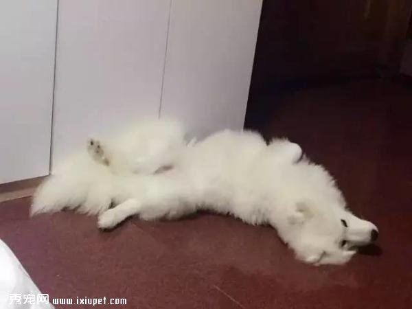 ����ĦҮ���ȵ�һ����Ϳ������������ǣ�