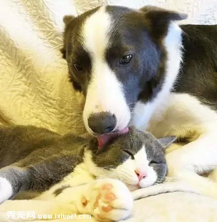 ������Ȼ������װ�������������ͬ��ɫè�����������