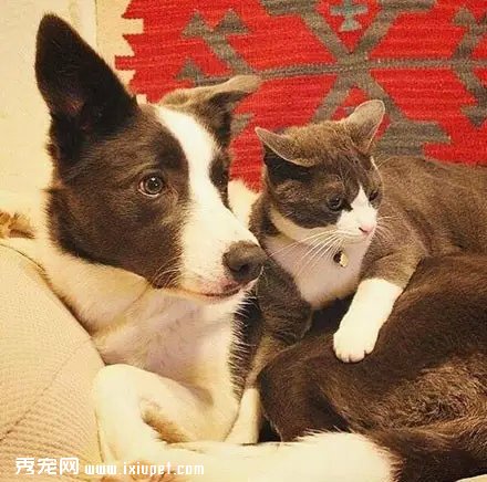 ������Ȼ������װ�������������ͬ��ɫè�����������