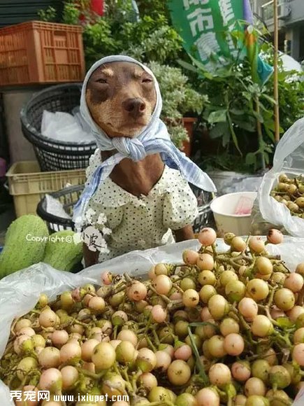 �����Ҽ�����ʱ�У����������......