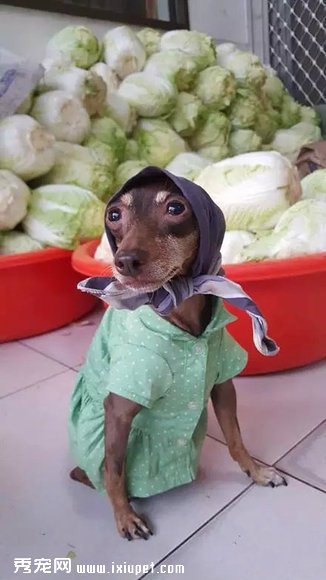 �����Ҽ�����ʱ�У����������......