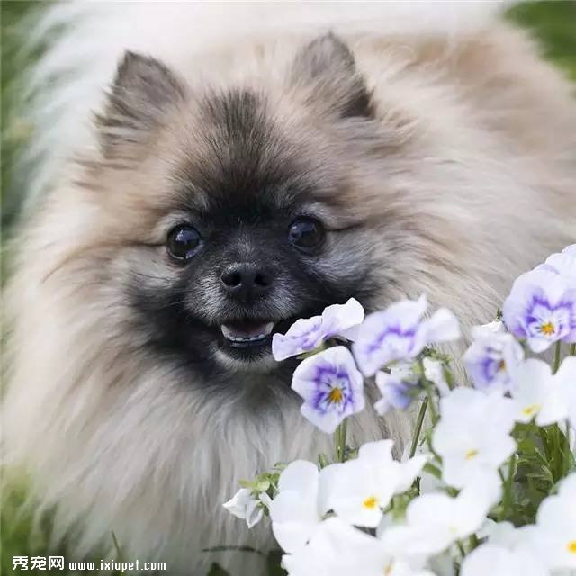 ������ô�����յĹ�����������˰ɣ�