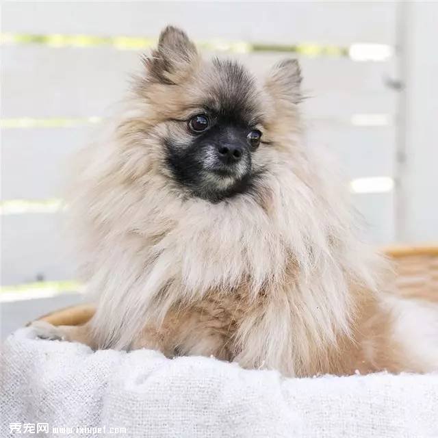 ������ô�����յĹ�����������˰ɣ�