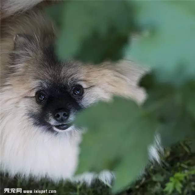 ������ô�����յĹ�����������˰ɣ�