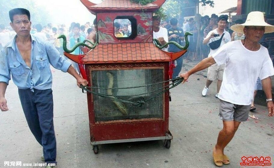 ����Щ���ҵ��˳����?���ظ������߳��(��ͼ)
