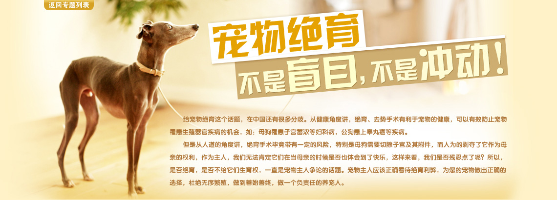 ���������������äĿ�����ǳ嶯
