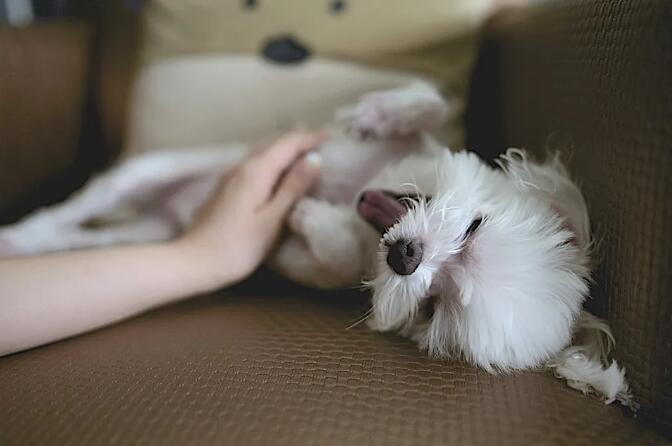 QQ��ͼ20200725173023.jpg