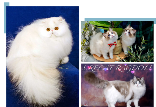QQ��ͼ20200817173811.png