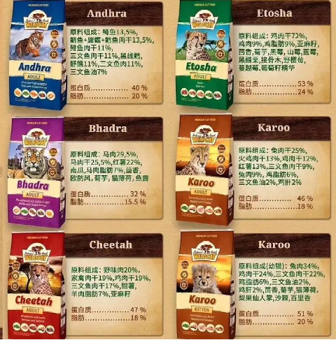 QQ��ͼ20200902163506.png