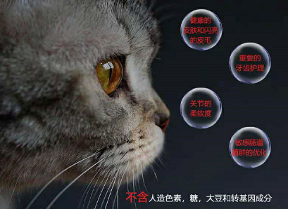 QQ��ͼ20200902163411.png