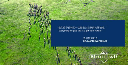 QQ��ͼ20200902164112.png