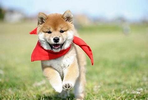 ��֪�����ѵ�����ǵĲ�Ȯ��Ȯ�����ѿ��˶��кã�