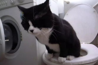 QQ��ͼ20210607100637.png