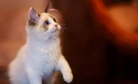 QQ��ͼ20210609095829.png