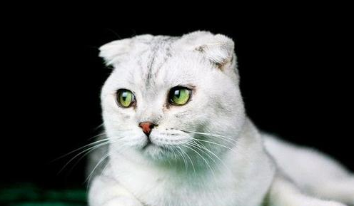 QQ��ͼ20210622100753.png