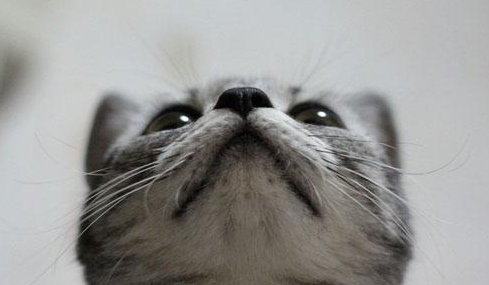 QQ��ͼ20210623094529.png