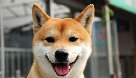 QQ��ͼ20210625171258.png