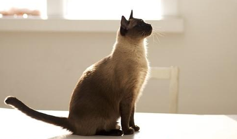 QQ��ͼ20210702182632.png