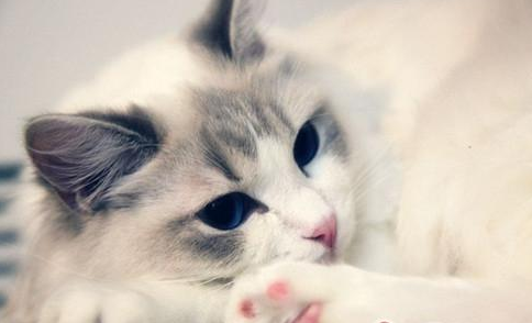 QQ��ͼ20210706094421.png
