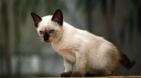 QQ��ͼ20210707093718.png