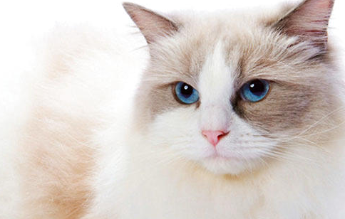 QQ��ͼ20210709095929.png