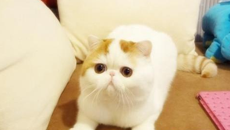 QQ��ͼ20210710164717.png