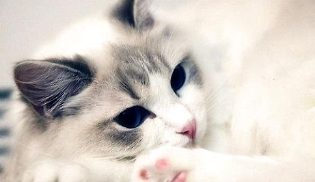 QQ��ͼ20210710174145.png