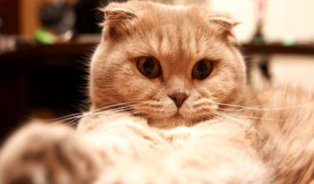 QQ��ͼ20210710174638.png