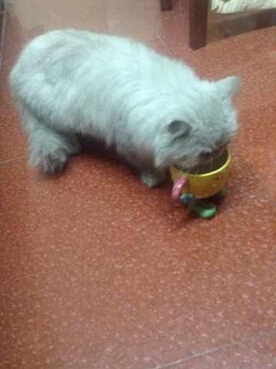 è���ǲ�����ĺ���ѵ��