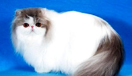 QQ��ͼ20210714164022.png