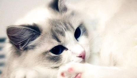 QQ��ͼ20210716182145.png