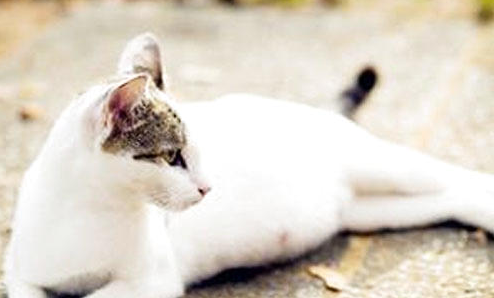 QQ��ͼ20210720095127.png