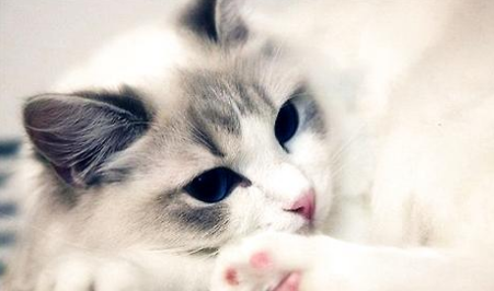 QQ��ͼ20210724164018.png