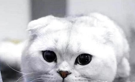 QQ��ͼ20210724164306.png