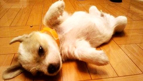 QQ��ͼ20210726111500.png