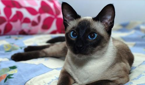 QQ��ͼ20210802170353.png