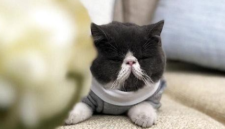QQ��ͼ20210802174447.png
