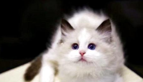QQ��ͼ20210810171809.png