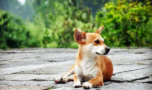 QQ��ͼ20210813165734.png