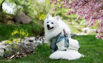 QQ��ͼ20210901172421.png