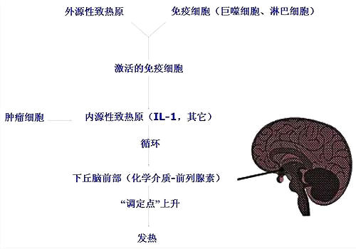 è����������ȼ����µ��ڣ�һ��