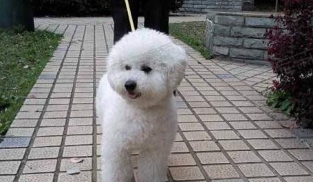QQ��ͼ20210907170632.png